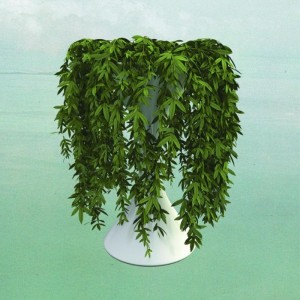 Errors-Lease-of-Life